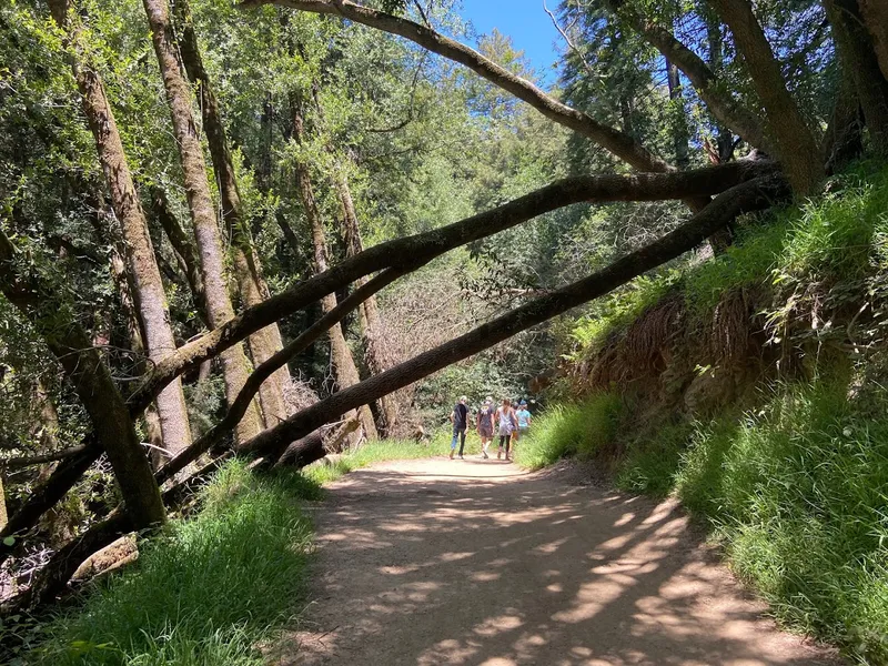 kid-friendly hiking trails Redwood Glen Trailhead