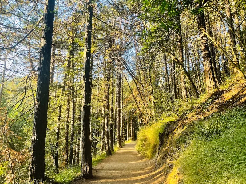 kid-friendly hiking trails Sequoia Bayview Trail Trailhead