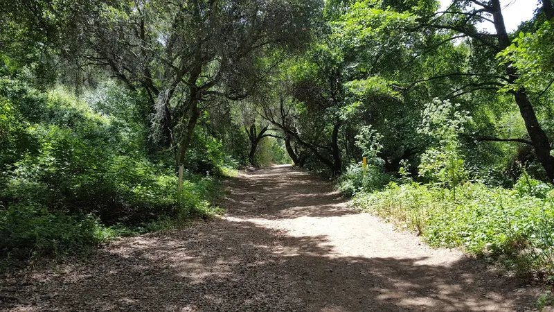 kid-friendly hiking trails Leona Canyon Regional Open Space Preserve