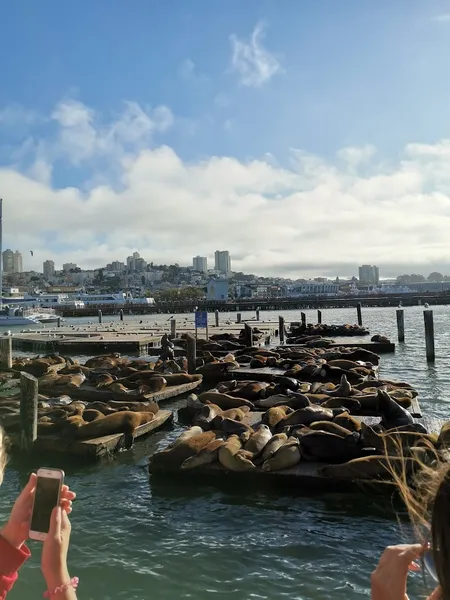 Kid-Friendly day trips San Francisco Carousel at Pier 39