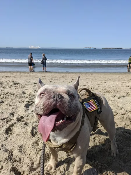 Kid-Friendly day trips Rosie's Dog Beach