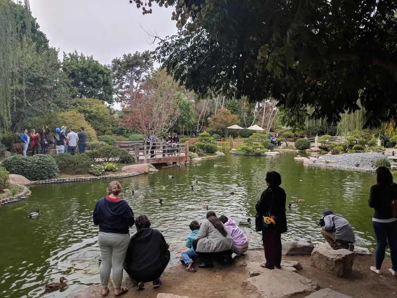 Kid-Friendly day trips Earl Burns Miller Japanese Garden