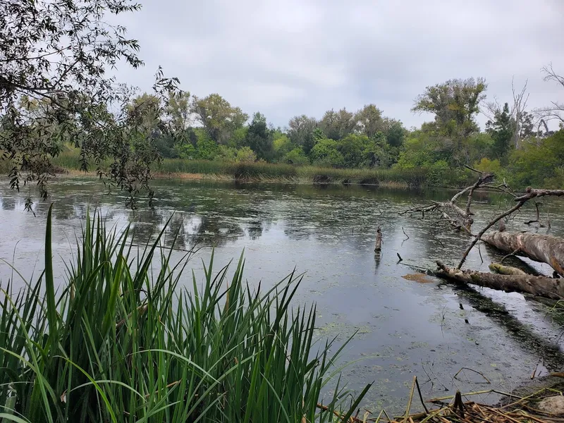 Kid-Friendly day trips El Dorado Nature Center