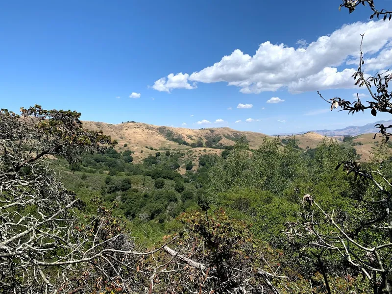 Kid-Friendly day trips Huckleberry Botanic Regional Preserve