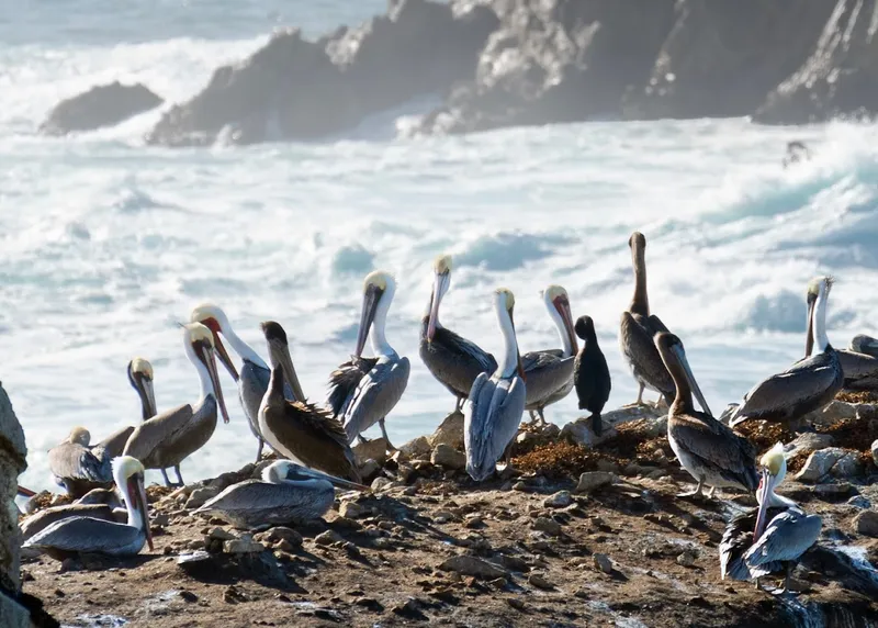 Places for sunsets Point Lobos