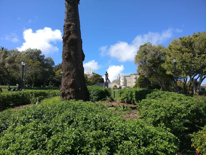 Dolores Park