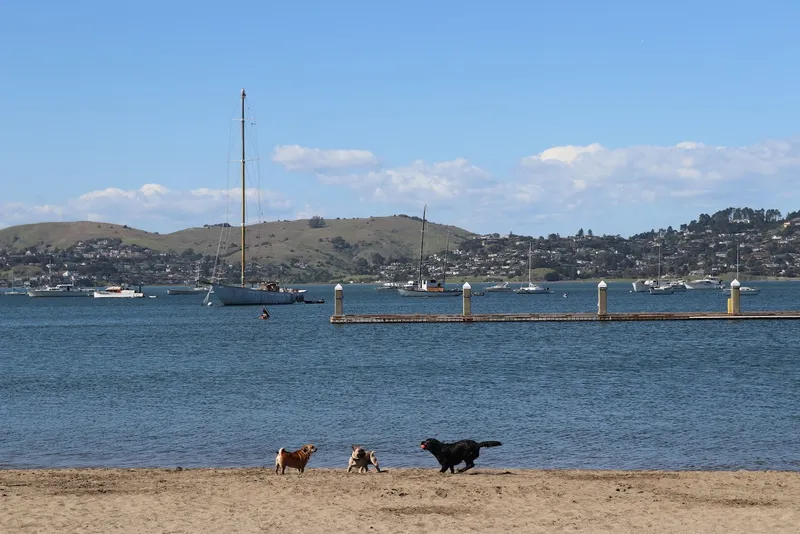 Places for sunsets Crissy Field