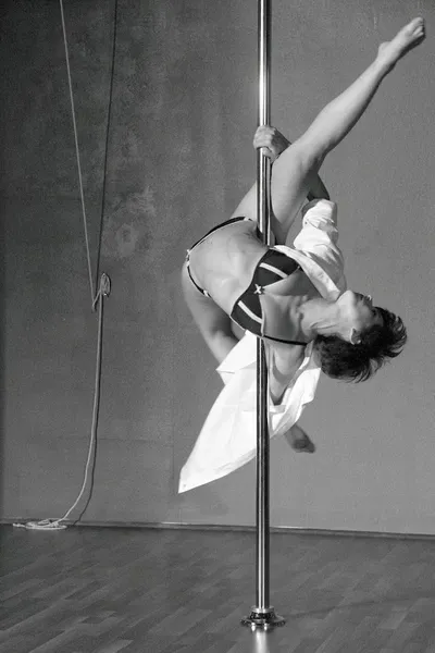 The Vertitude L.A. - Pole : Aerial : Fitness