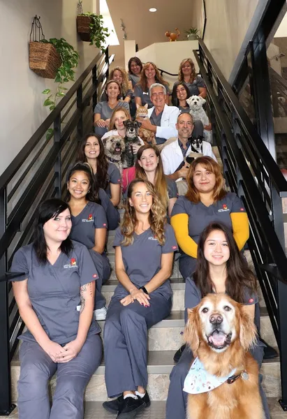 dog groomers Cabrillo Pet Hospital