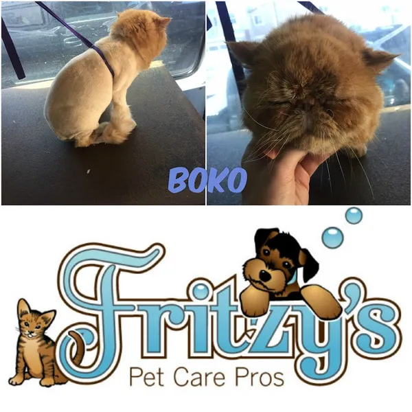 dog groomers Fritzy's Pet Care Pros