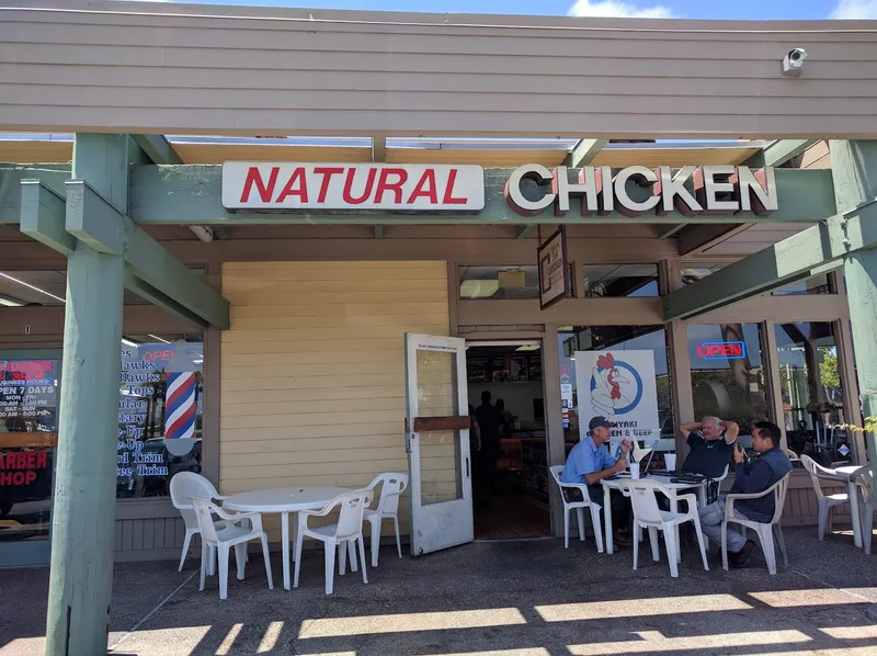 organic restaurant Natural Style Chicken