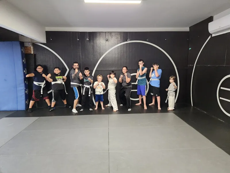 Amanda's Adaptive Martial Arts