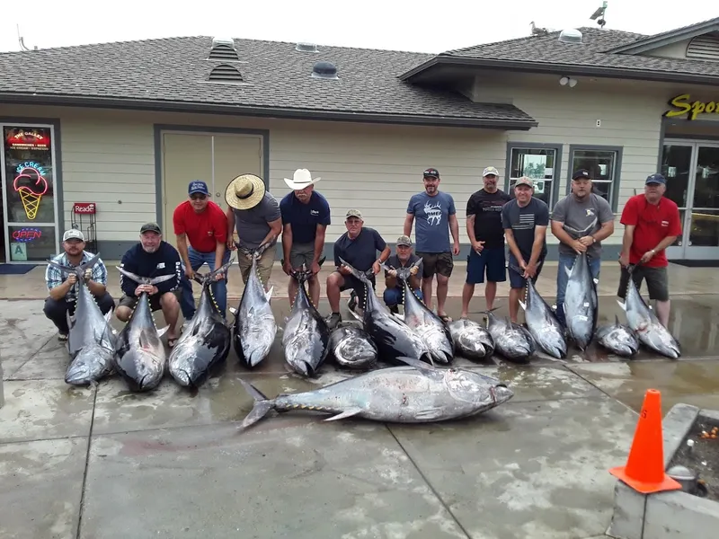 catfish Five Star Fish Processing in Point Loma