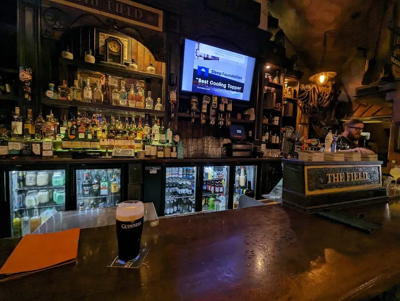 Beer Bars The Field Irish Pub