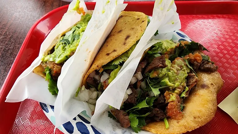 burritos Tacos El Gordo