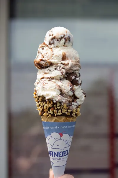 brownies Handel's Homemade Ice Cream in Pacific Beach