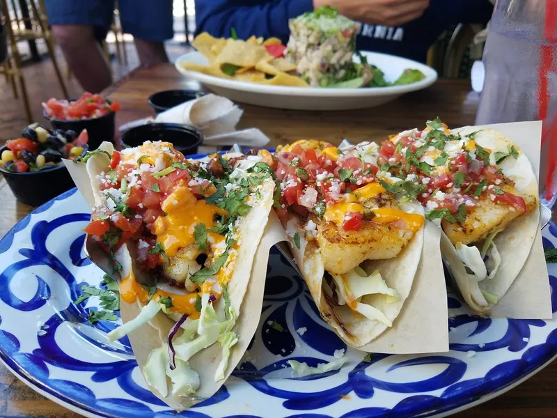 Calamari Rockin' Baja Lobster - Gaslamp in Downtown San Diego