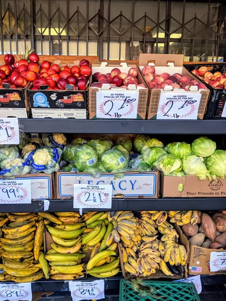 grocery stores Mi Tierra Market