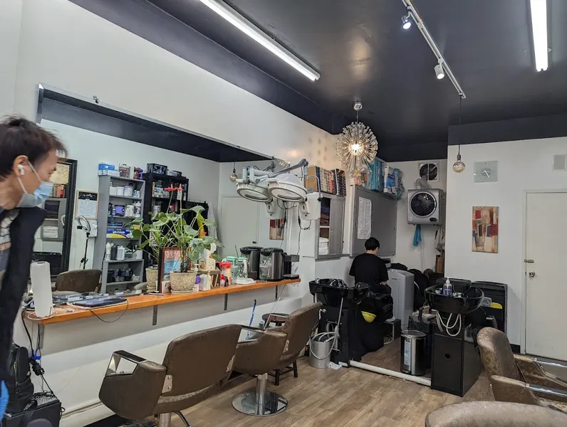 hair salons Stars Hair Salon