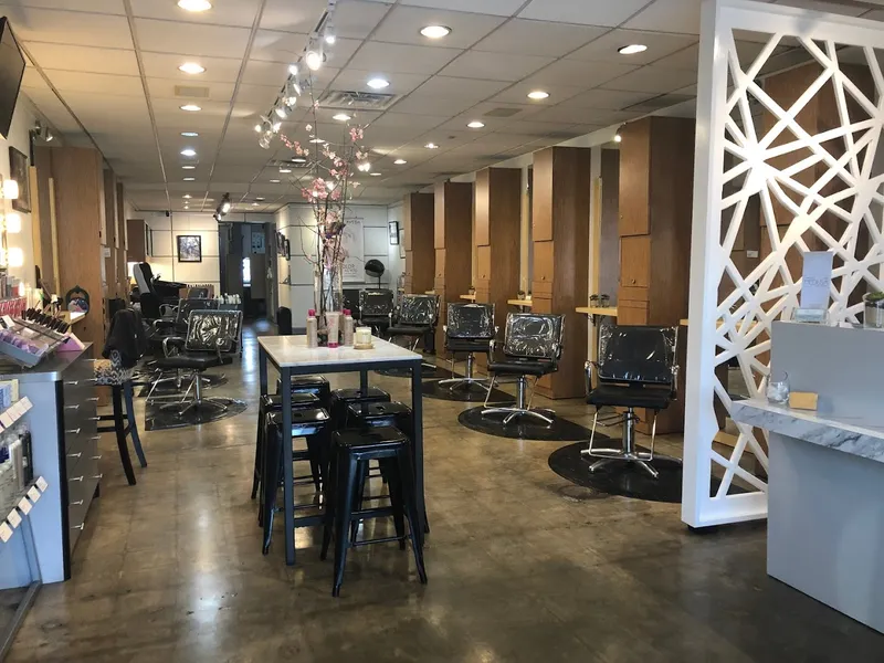 hair salons Salon Medusa Aveda Concept Salon