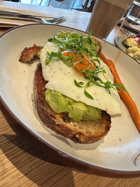 avocado toast Tartine Silver Lake