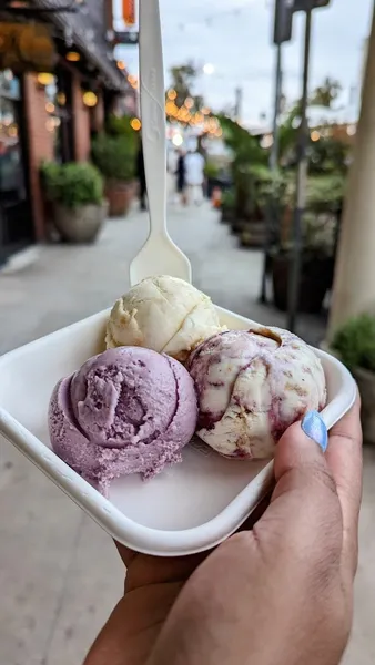 milkshakes Jeni's Splendid Ice Creams in Venice