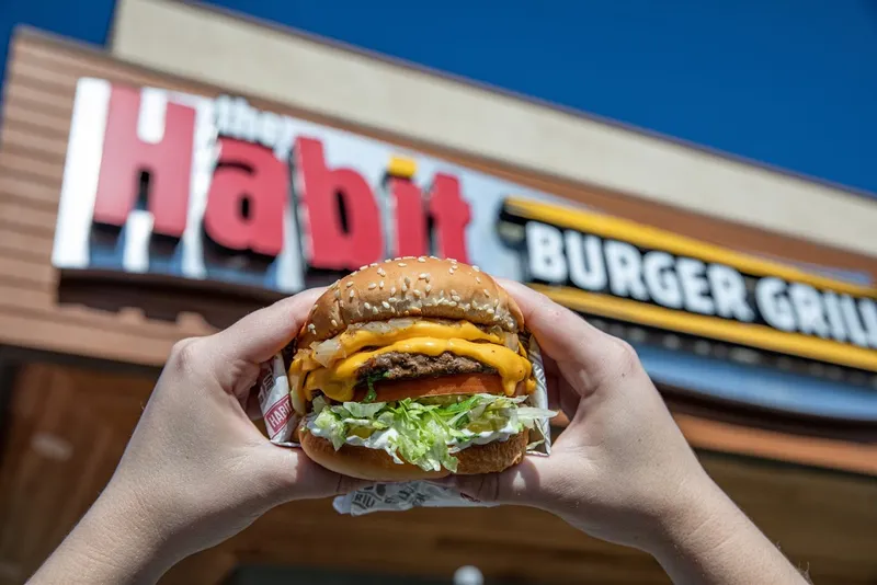 chicken sandwiches The Habit Burger Grill