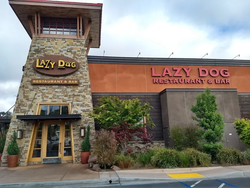 happy hours Lazy Dog Restaurant & Bar