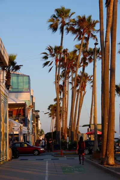 romantic bars The Venice Whaler