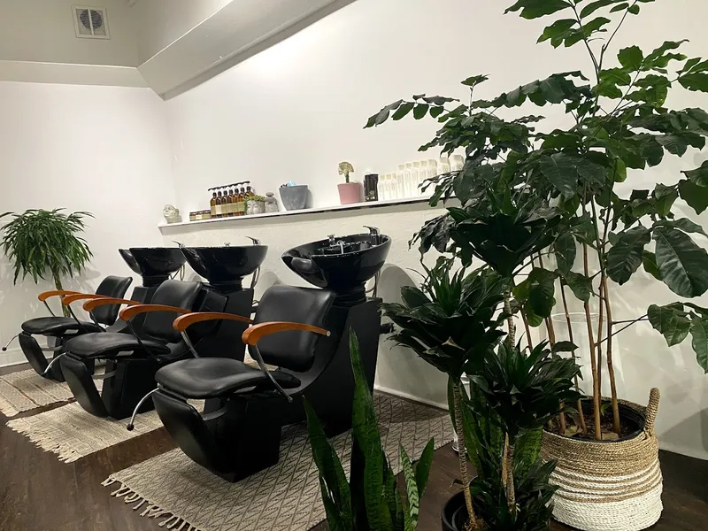 hair salons Blow Drys @ The Salon Venice