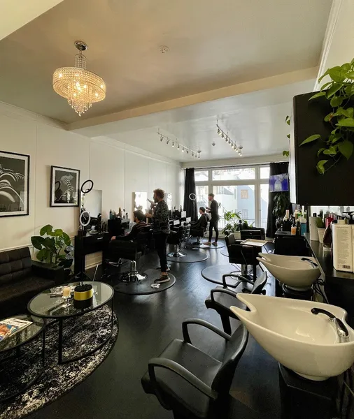 hair salons Francesco Black