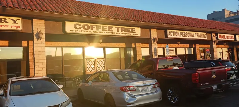 chai latte Coffee Tree in Tarzana