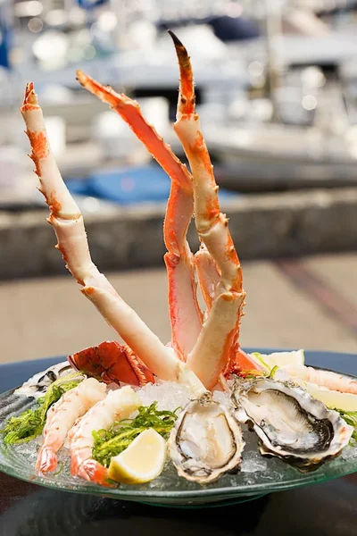 Best of 17 Seafood restaurants in Downtown San Diego San Diego