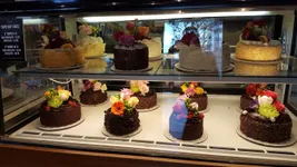 Best of 16 chocolate cake in Downtown San Diego San Diego