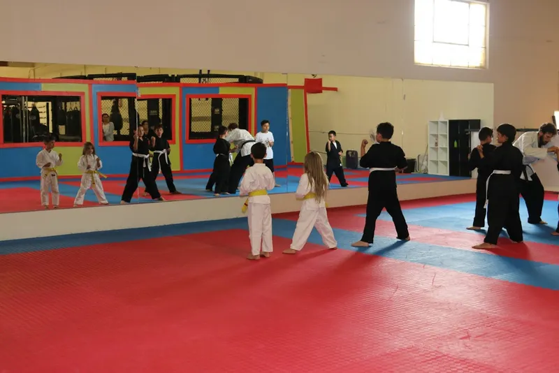 workout classes EnergiX Martial Arts and Fitness