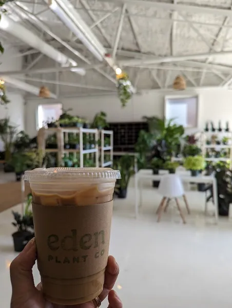 coffee shops Eden Plant Co.