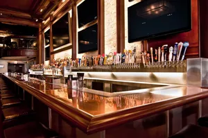 Top 15 bars in Old Town Chicago