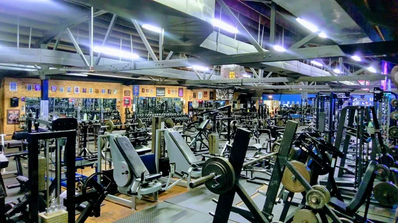 gyms Quads Gym in Lake View