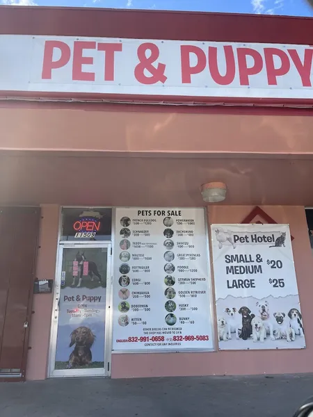 Pet & Puppy