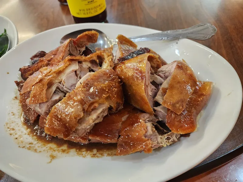 roast duck Yummy Yummy Noodles