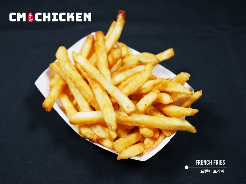 French Fries CM Korean Fried Chicken of Lincoln Park Chicago 충만 치킨 in Lincoln Park