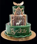 Top 20 custom cakes in Chicago