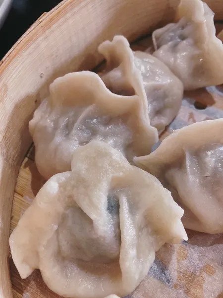 Dumplings restaurants Four Seasons Dumplings 四季饺子馆