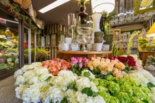 Best of 20 florist in Chicago