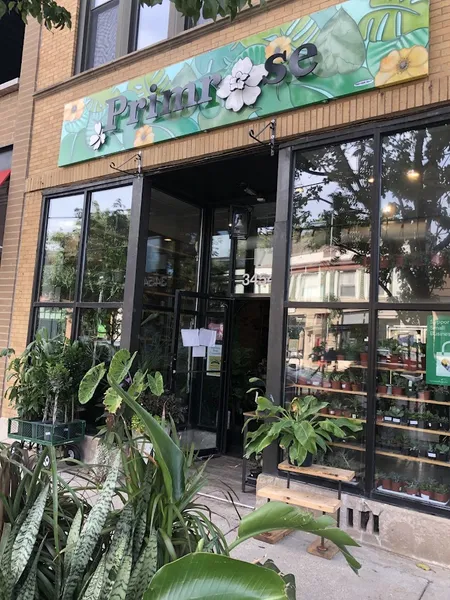 florist Primrose Chicago in Lake View