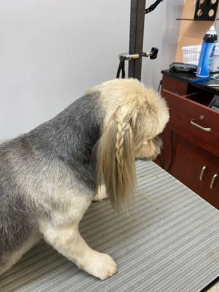 The Tailored Tail Pet Salon