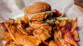 Best of 17 chicken sandwiches in Lincoln Park Chicago