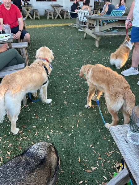 Dog-Friendly Restaurants Cottonwood