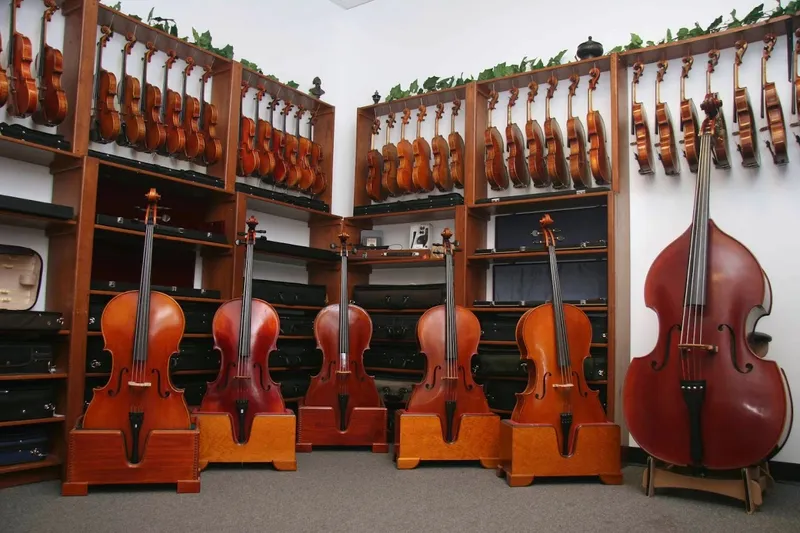 musical Lisle Violin Shop - Houston Central