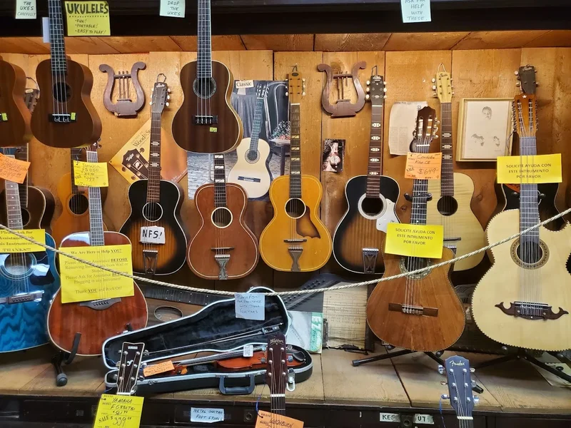 Texas Singing Instruments Top 30 musical instrument in Houston